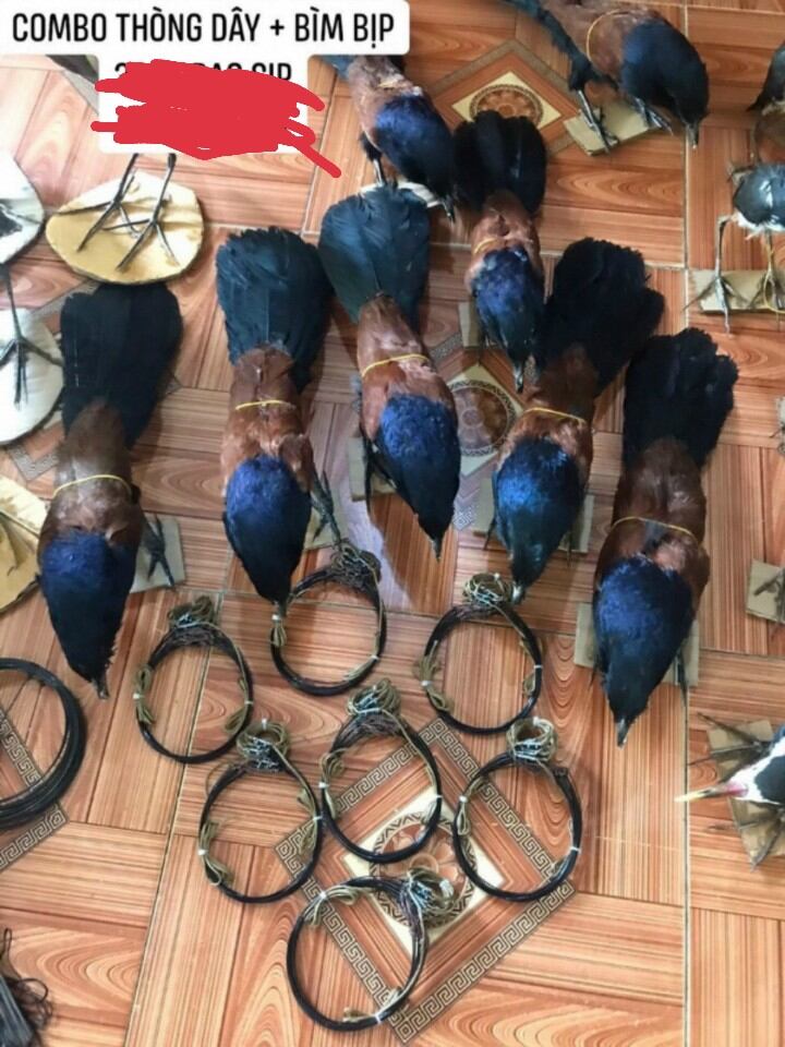 Combo 2 món thòng dây + bìm bịp