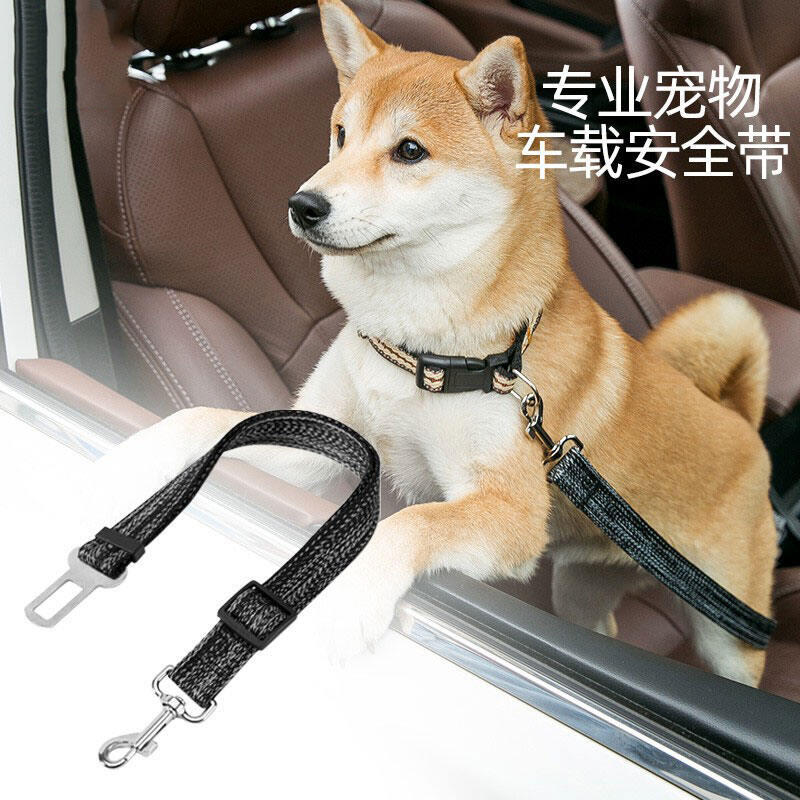 Dây Đai An Toàn Cho Thú Cưng, Dây Đai An Toàn Cho Chó
