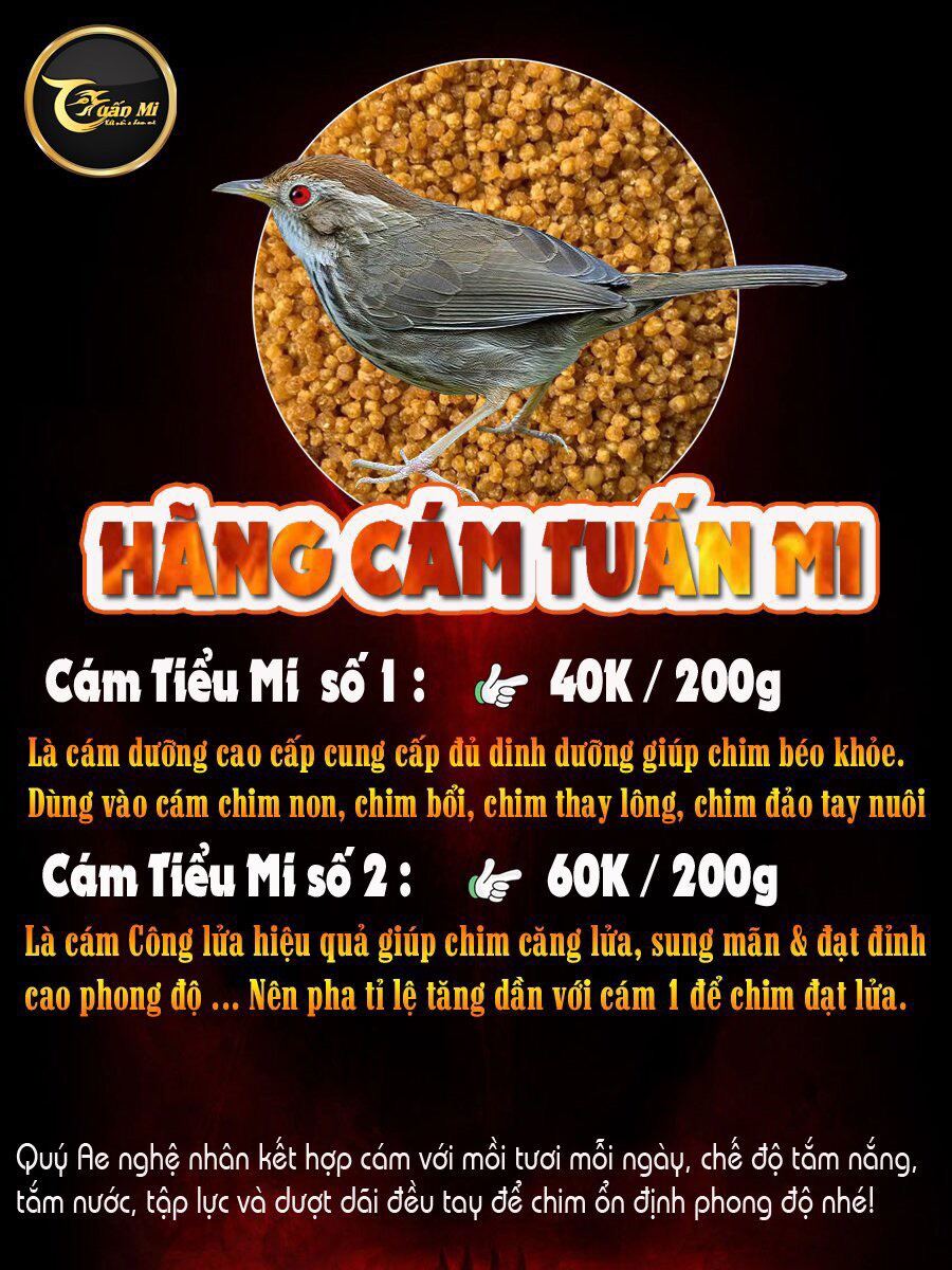 Cám Tiểu Mi số 1 ( Tuấn Mi )