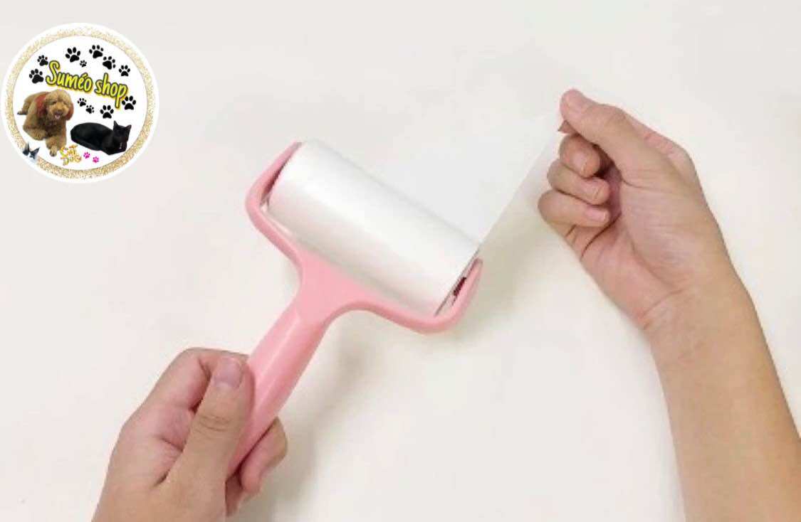 CÂY LĂN LÔNG CHÓ MÈO SIÊU SẠCH