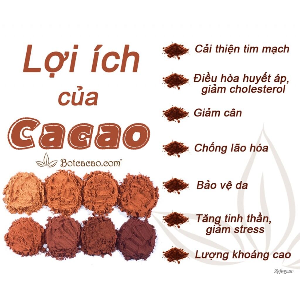 Bột cacao nguyên chất Đăk Lăk 500gr