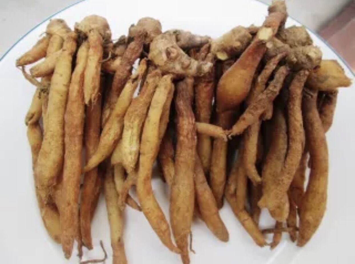Củ Ngãi bún tươi 1kg