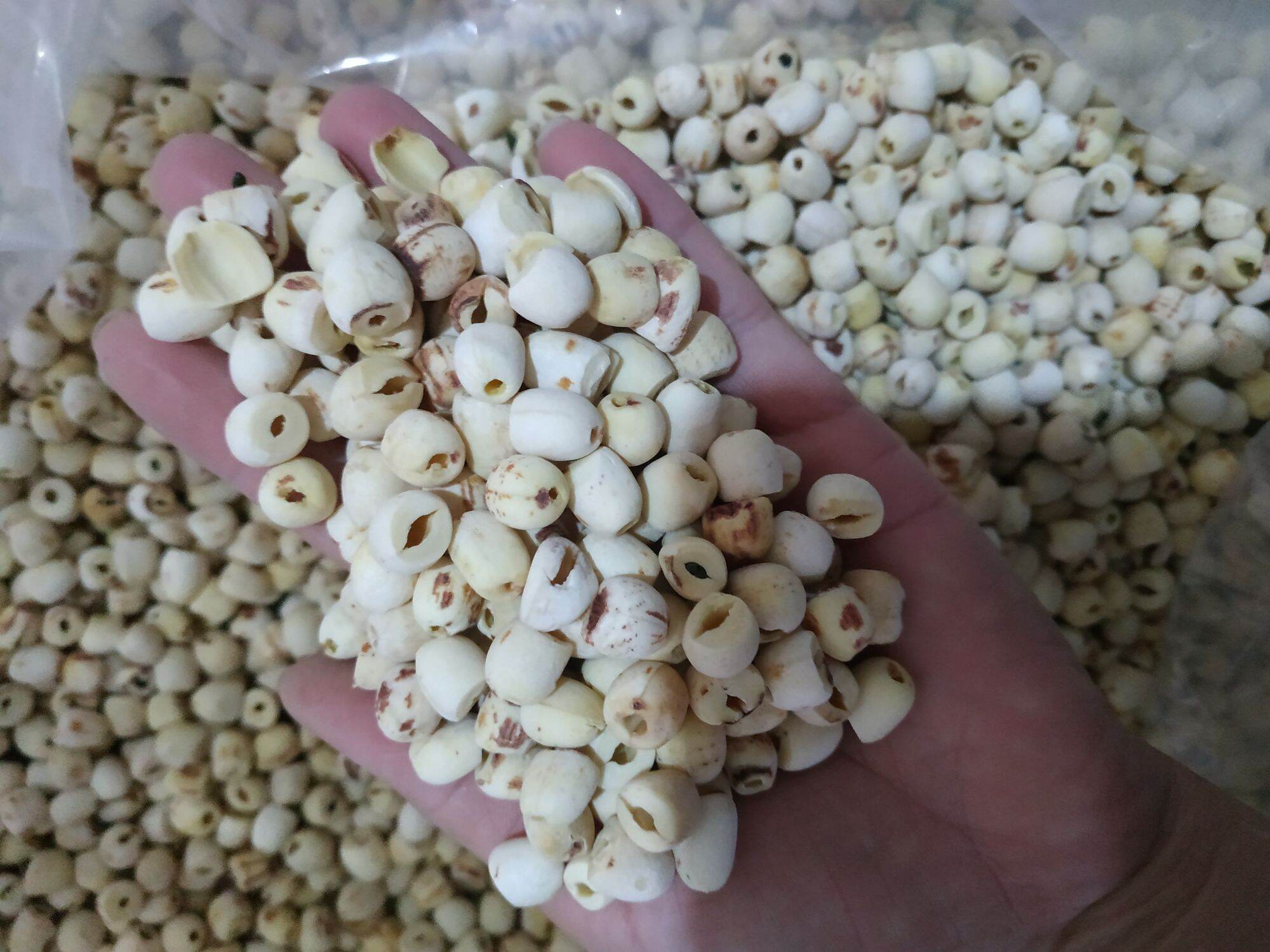 1kg hạt sen khô đã bóc vỏ bỏ tâm