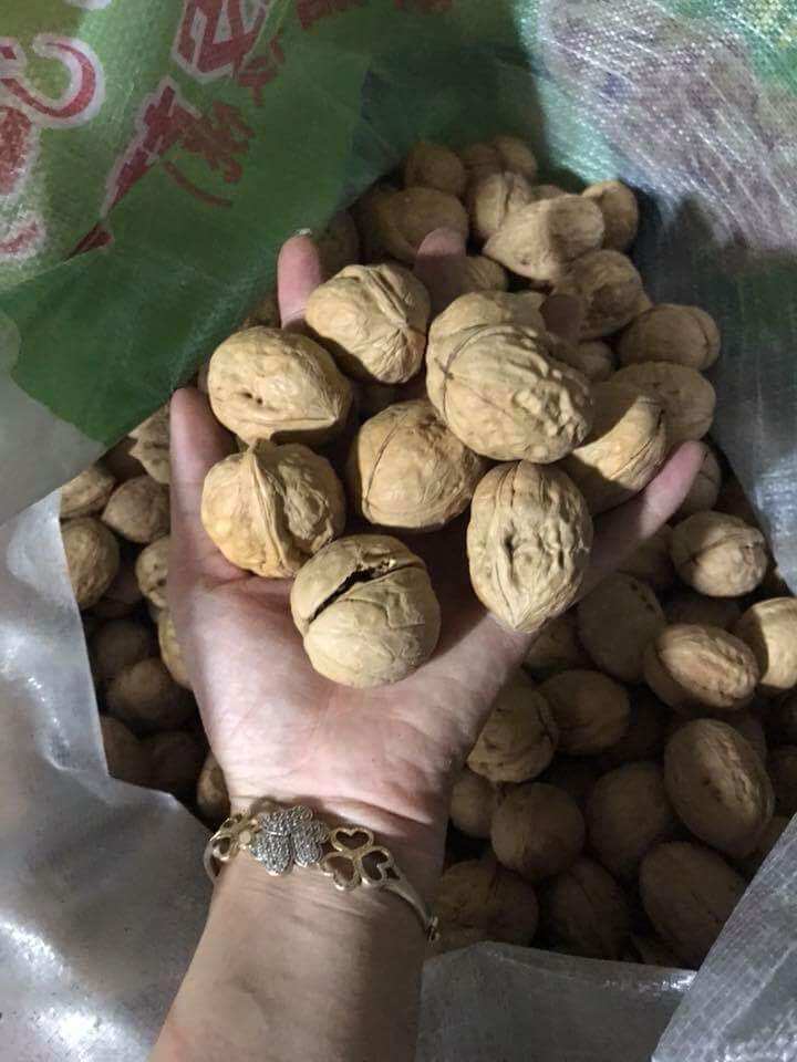 1kg quả óc chó