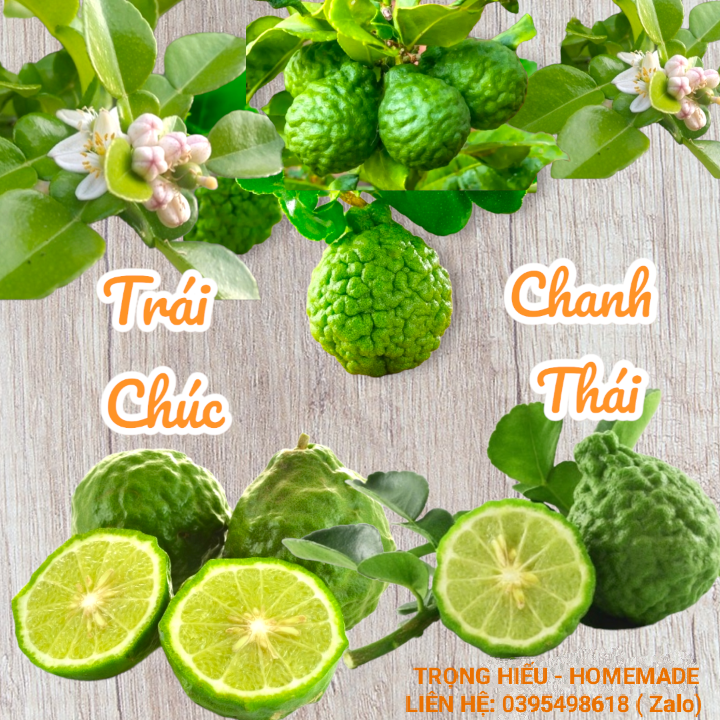 Trái chúc - an giang - hộp 1kg