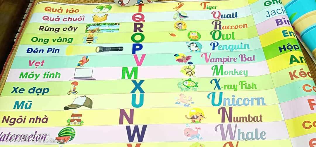 20 bậc decal dán cầu thang
