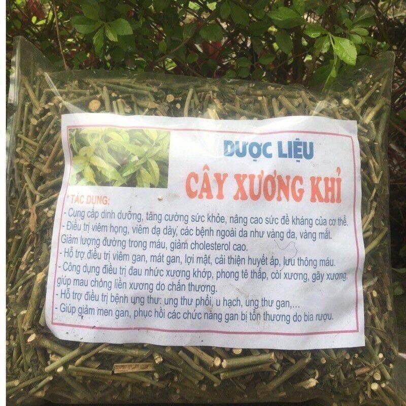 Cây xương khỉ bìm bịp