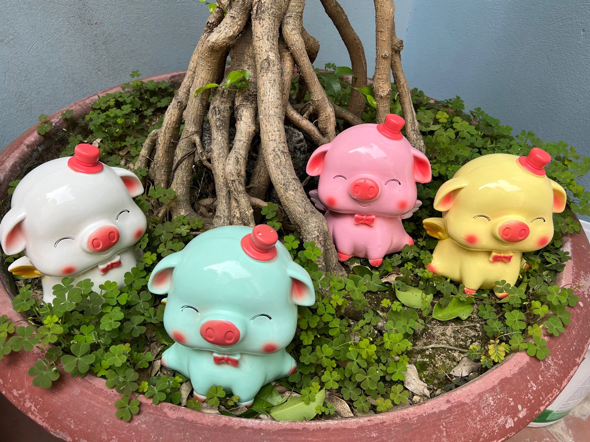Heo/lợn đất tiết kiệm cánh tiên đội mũ ( ảnh thật tự chụp)