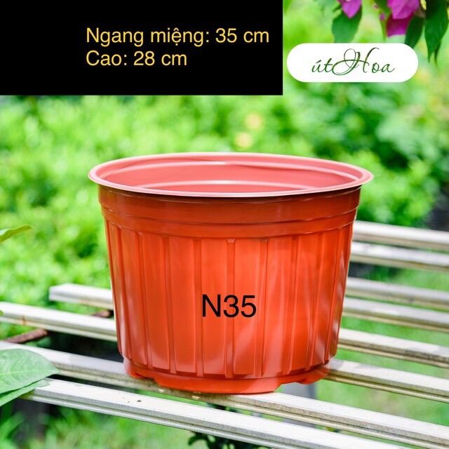 Chậu nhựa nâu N35 size lớn nhất