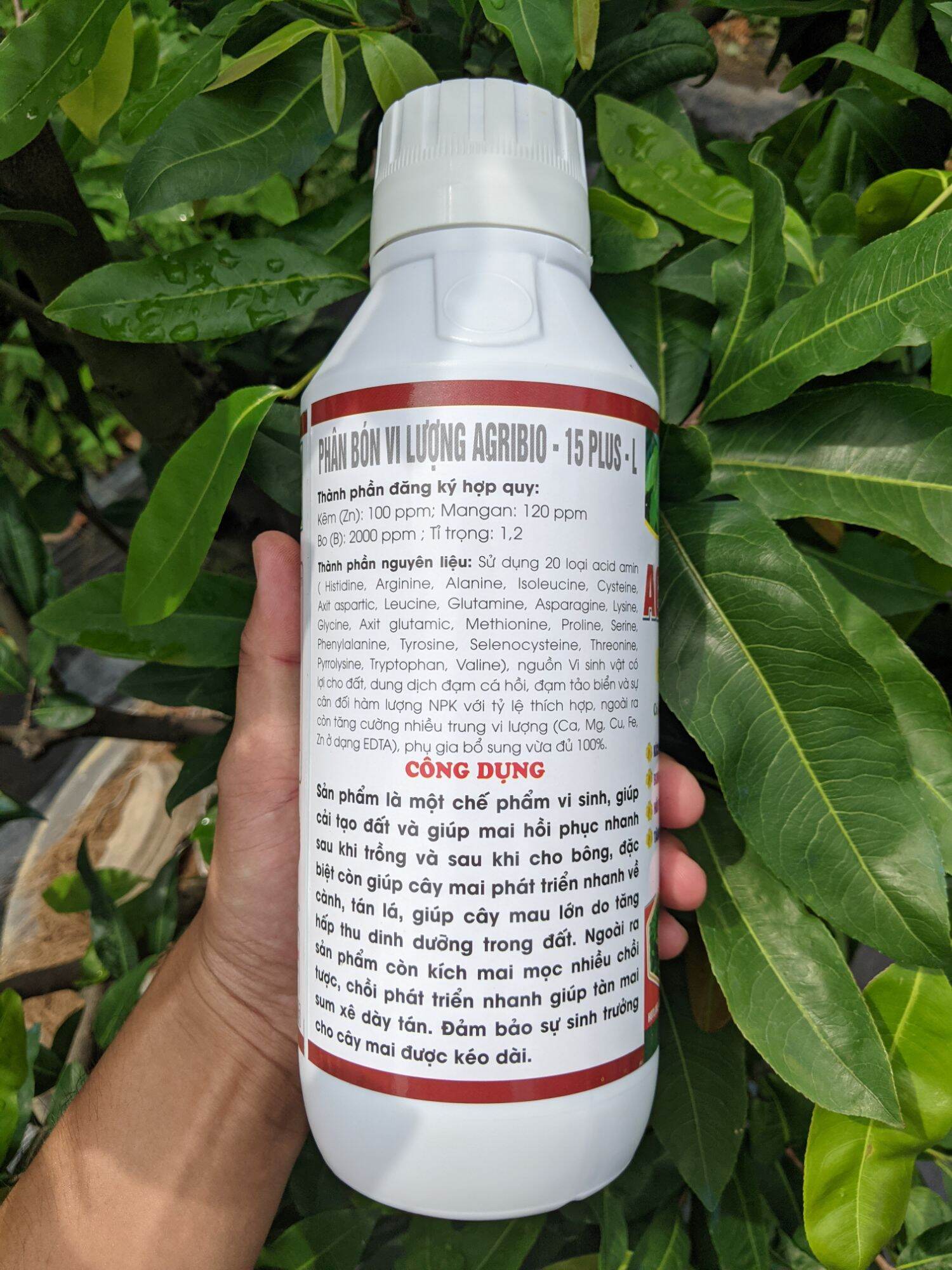 Agri Roots Plus phân bón siêu kích rễ - bung tàn - mập thân chai 1 lít