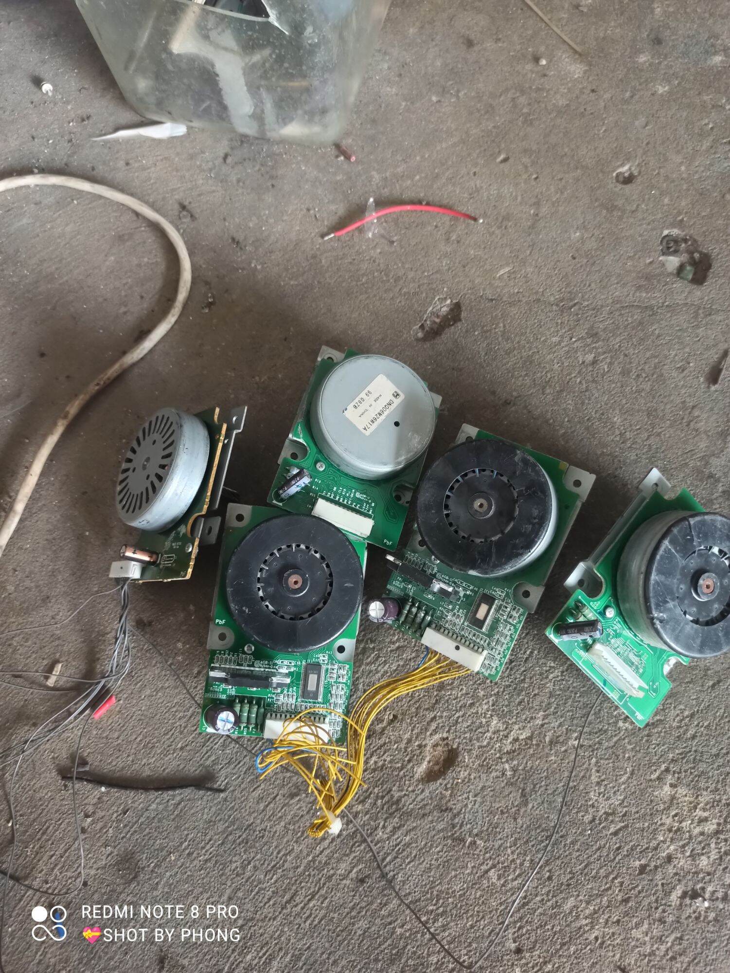 Combo 5 motor Brussels cốt 6mm