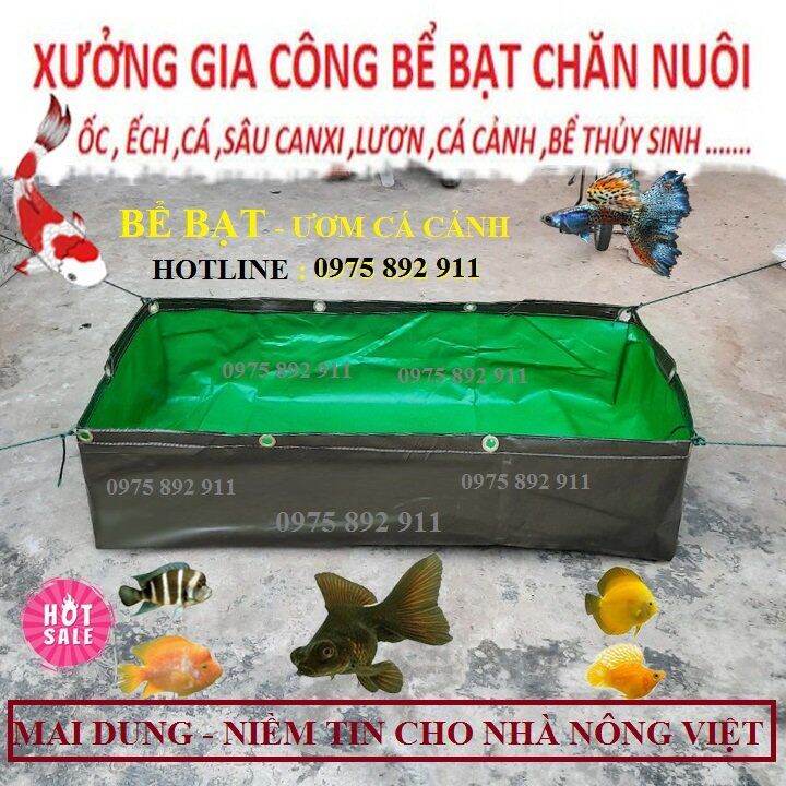 Hồ , bể bạt ươm cá cảnh , cá chọi , cá koi giống