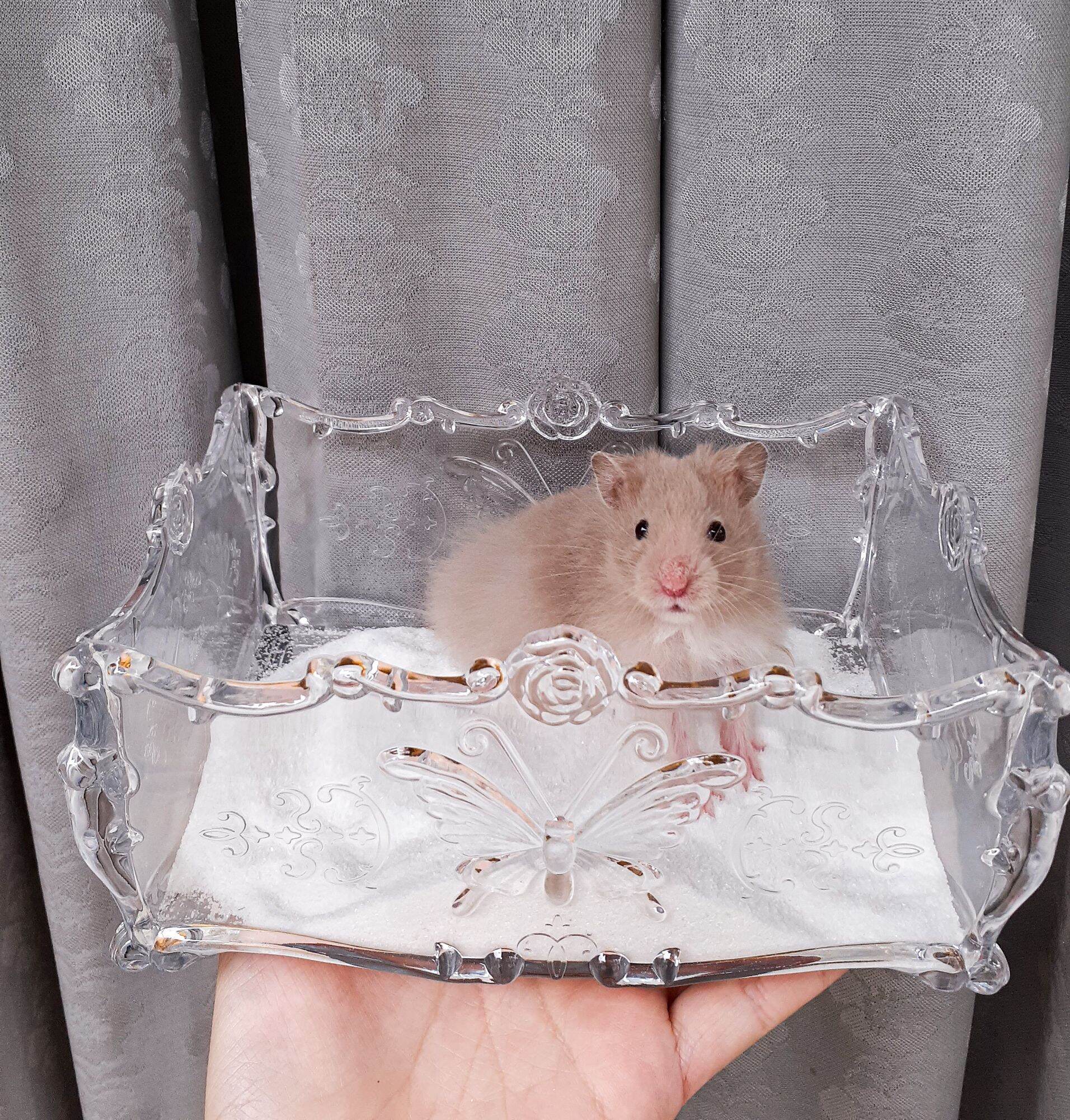 Nhà tắm Princess Luxury cho hamster