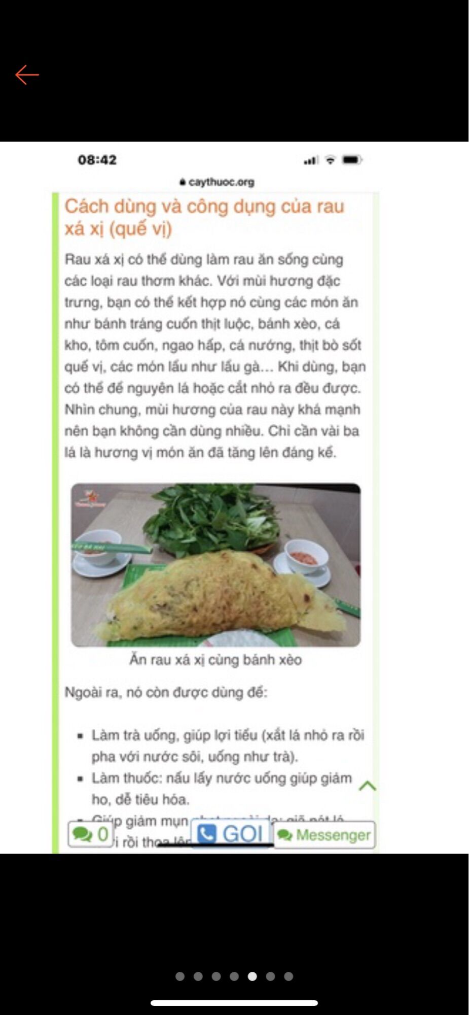 Chậu cây rau xá xị / quế vị
