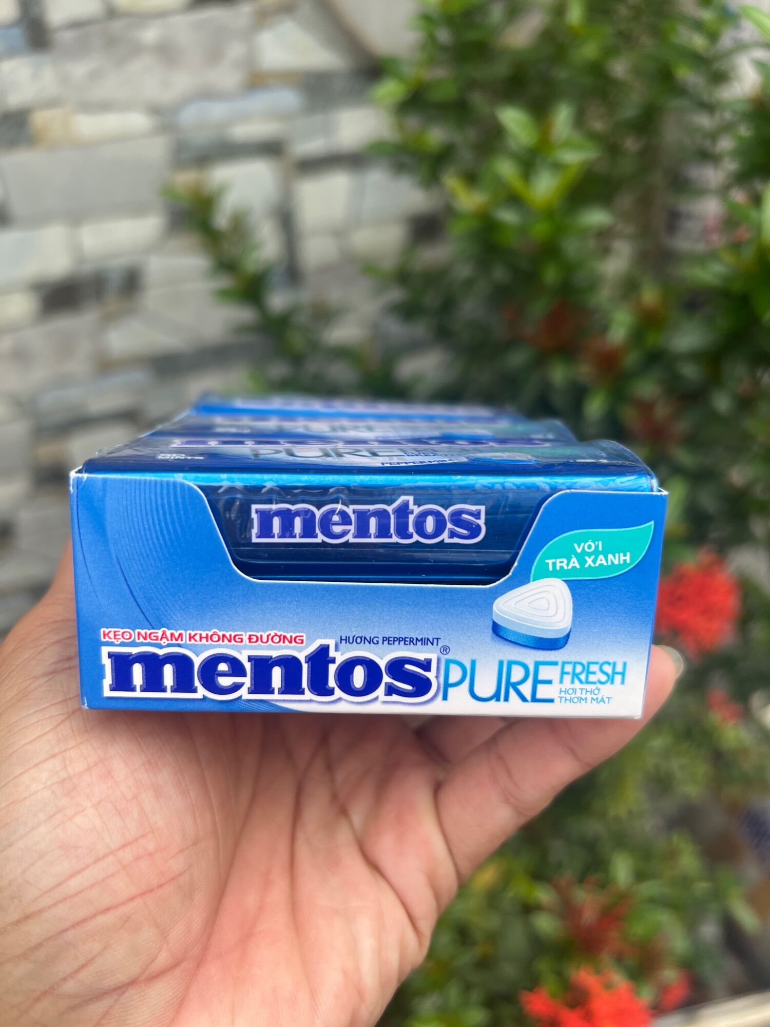 Kẹo ngậm mentos 6 lọ×35g