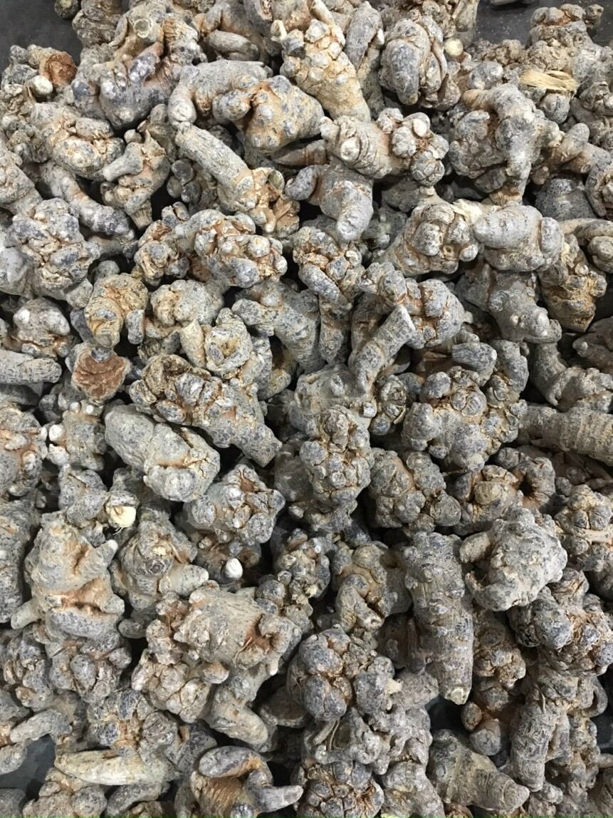 Củ Tam Thất Bắc 500gr Hàng 50 Củ/1Kg [củ 5 năm tuổi]