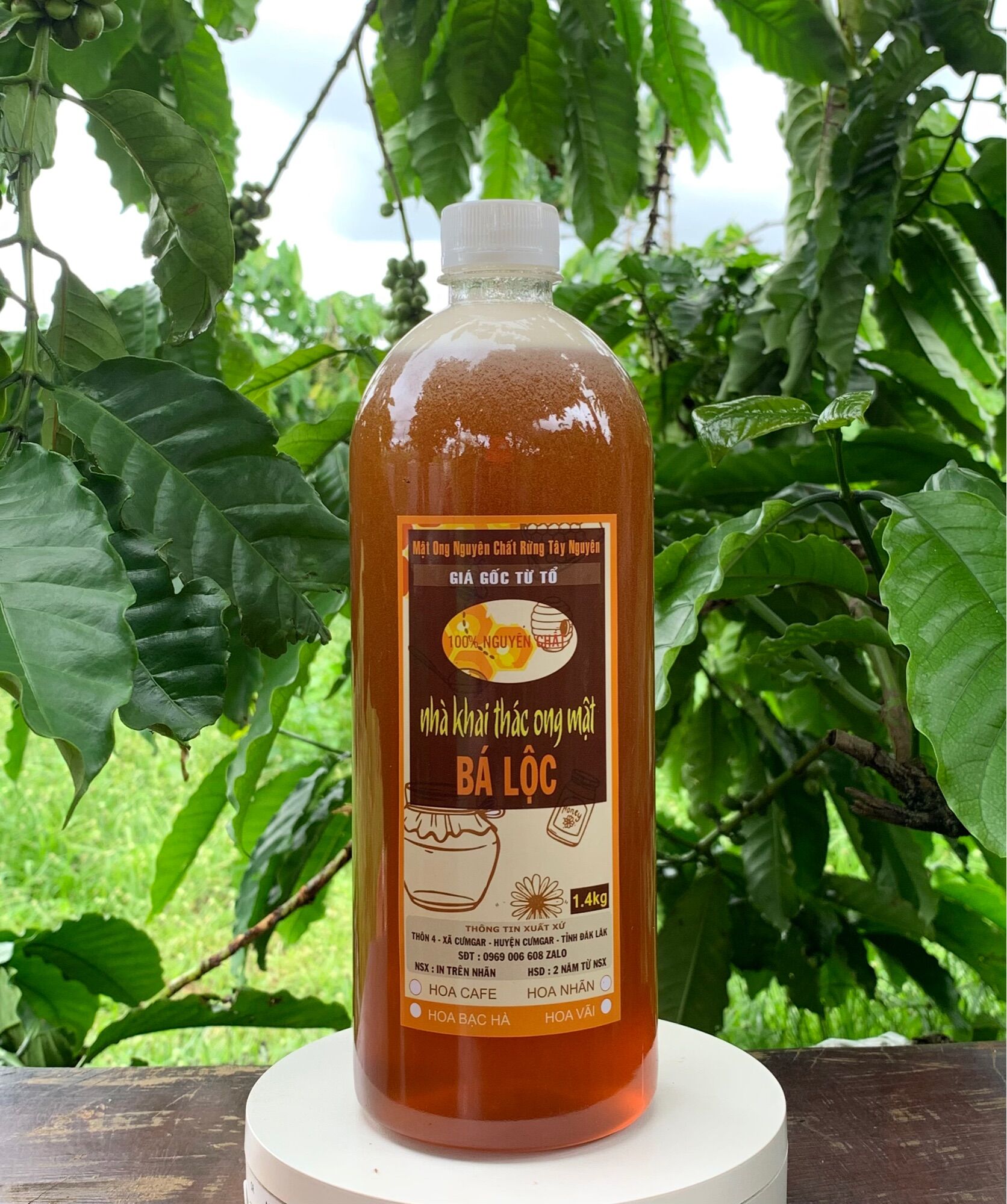 1.4kg MẬT ONG HOA RỪNG CÀ PHÊ CAO CẤP BÁ LỘC - ĐẶC SẢN BUÔN MA THUỘT