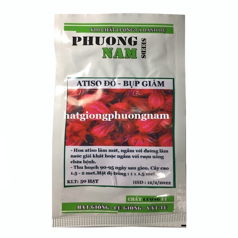 Hạt giống hoa atiso