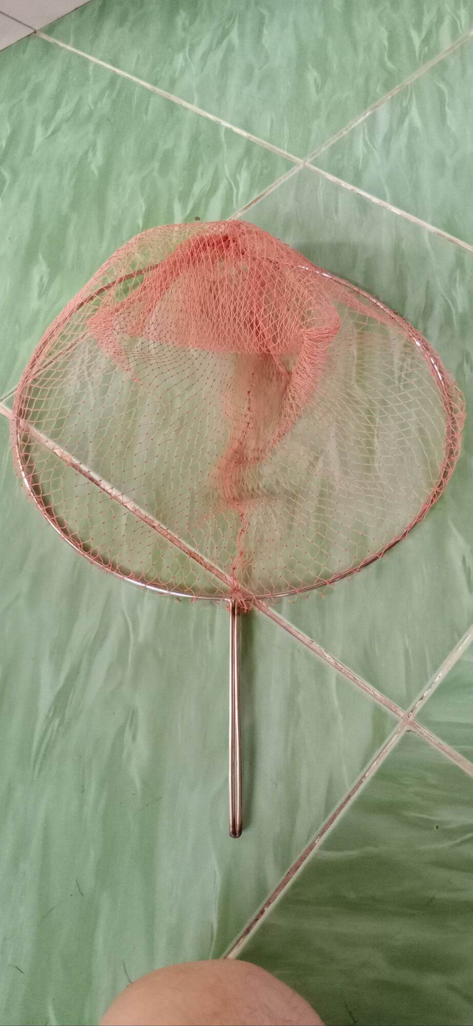 vợt lưới cào 20×20