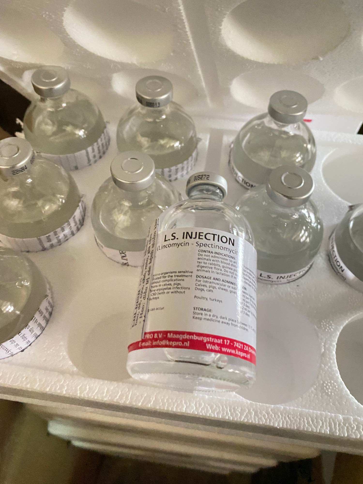 L.S. INJECTION [100 ml] Thuốc gà đá khò khè, hô hấp Hà Lan