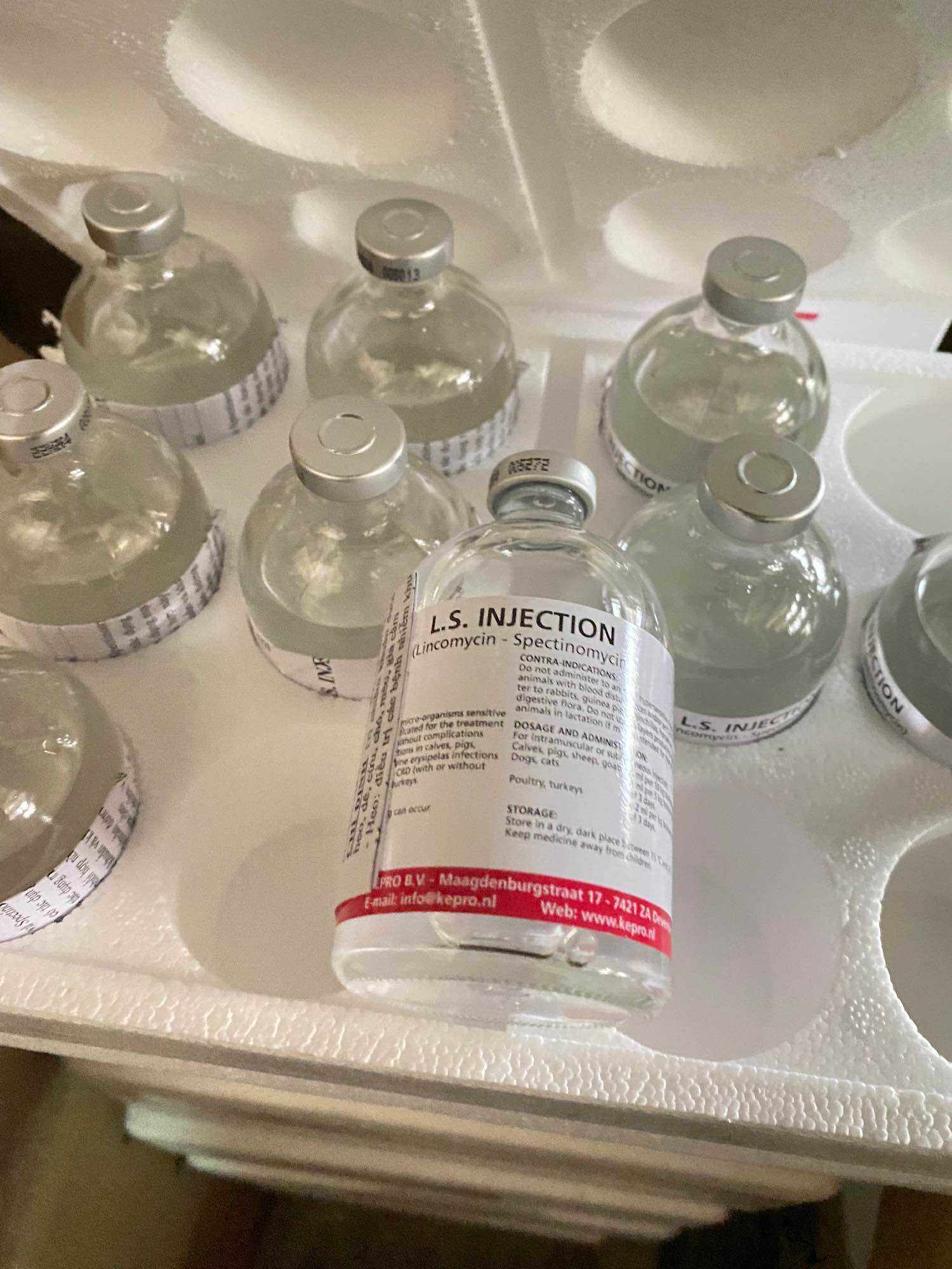 L.S. INJECTION [100 ml] Thuốc gà đá khò khè, hô hấp Hà Lan