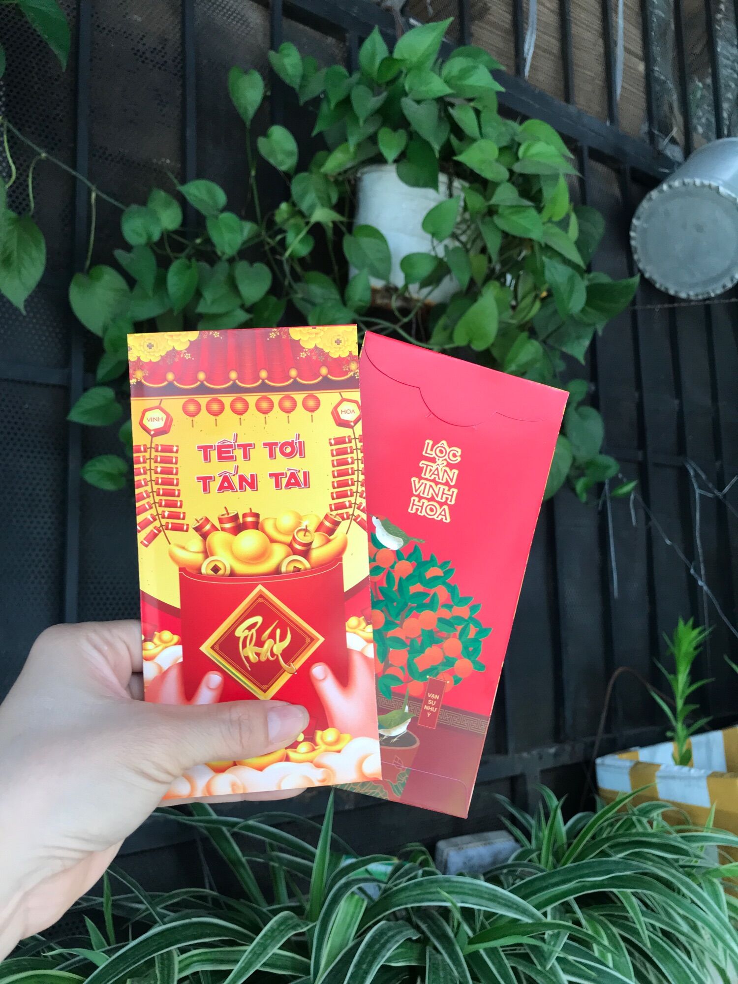 Combo 6 Bao Lì Xì Tết Quý Mão 2023