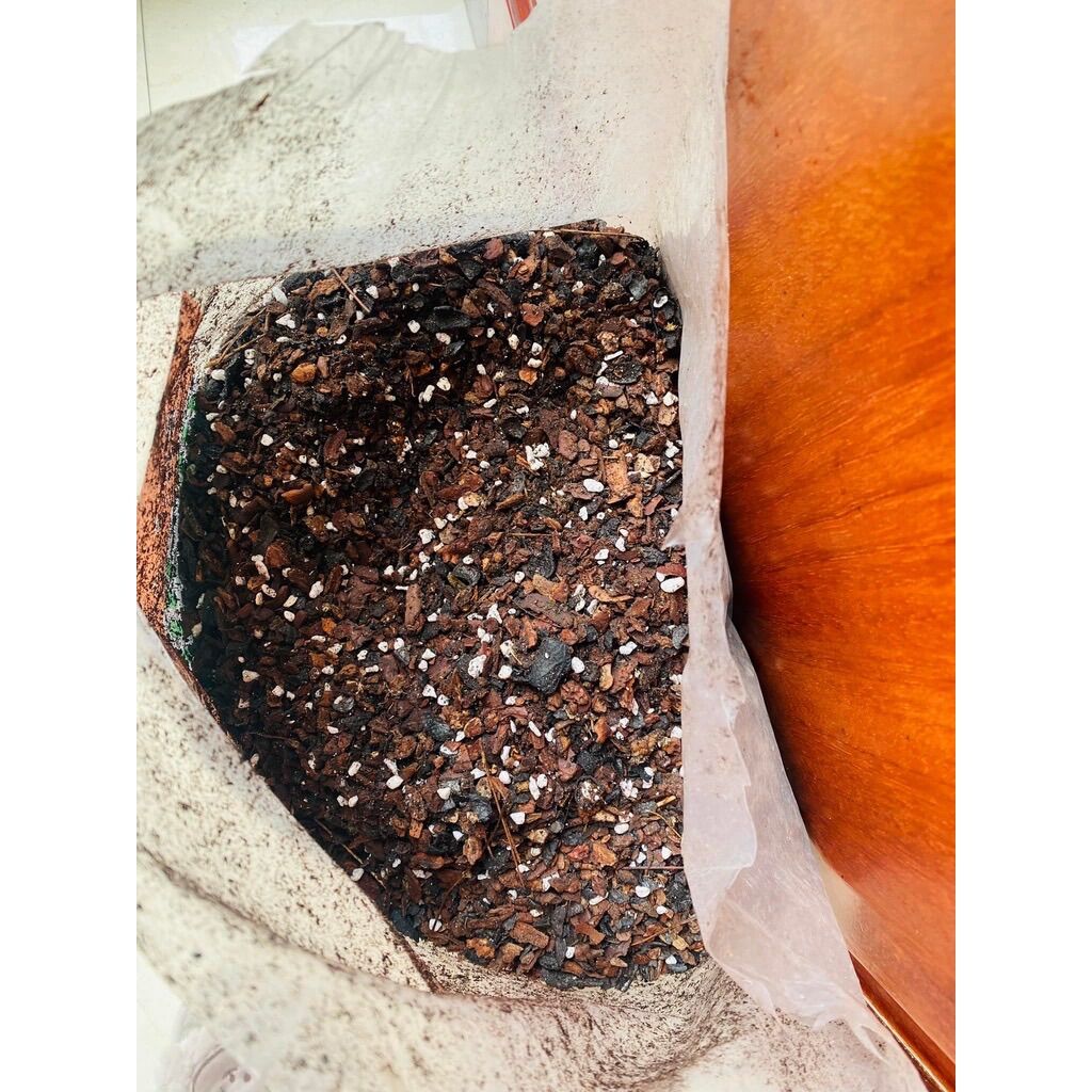 100g Đá perlite trồng sen đá, hoa lan