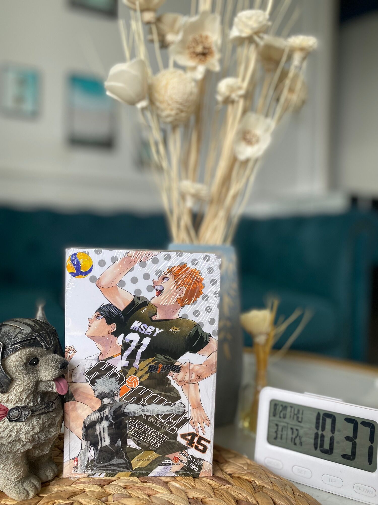 Haikyuu - Chàng khổng lồ tí hon