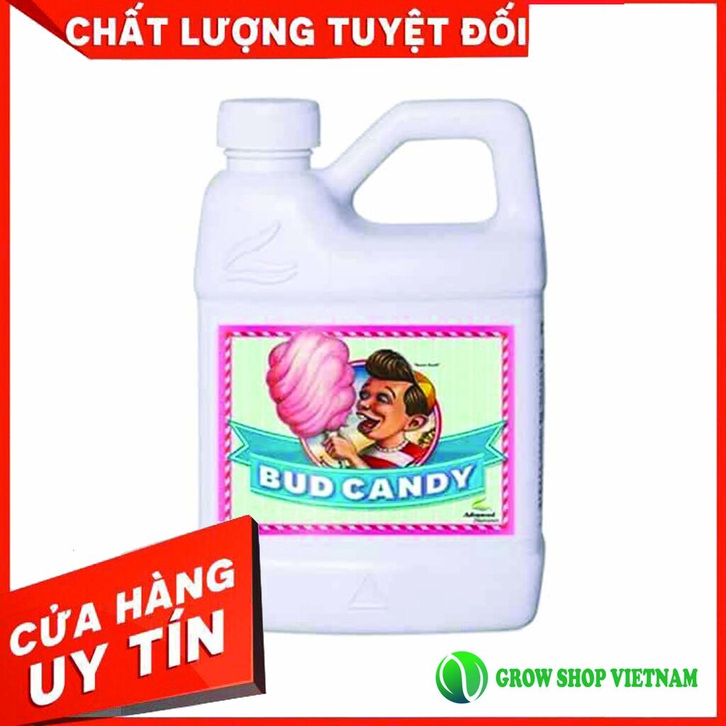 Phân bón Advanced Nutrients Bud Candy tăng vị thơm cho búp hoa.