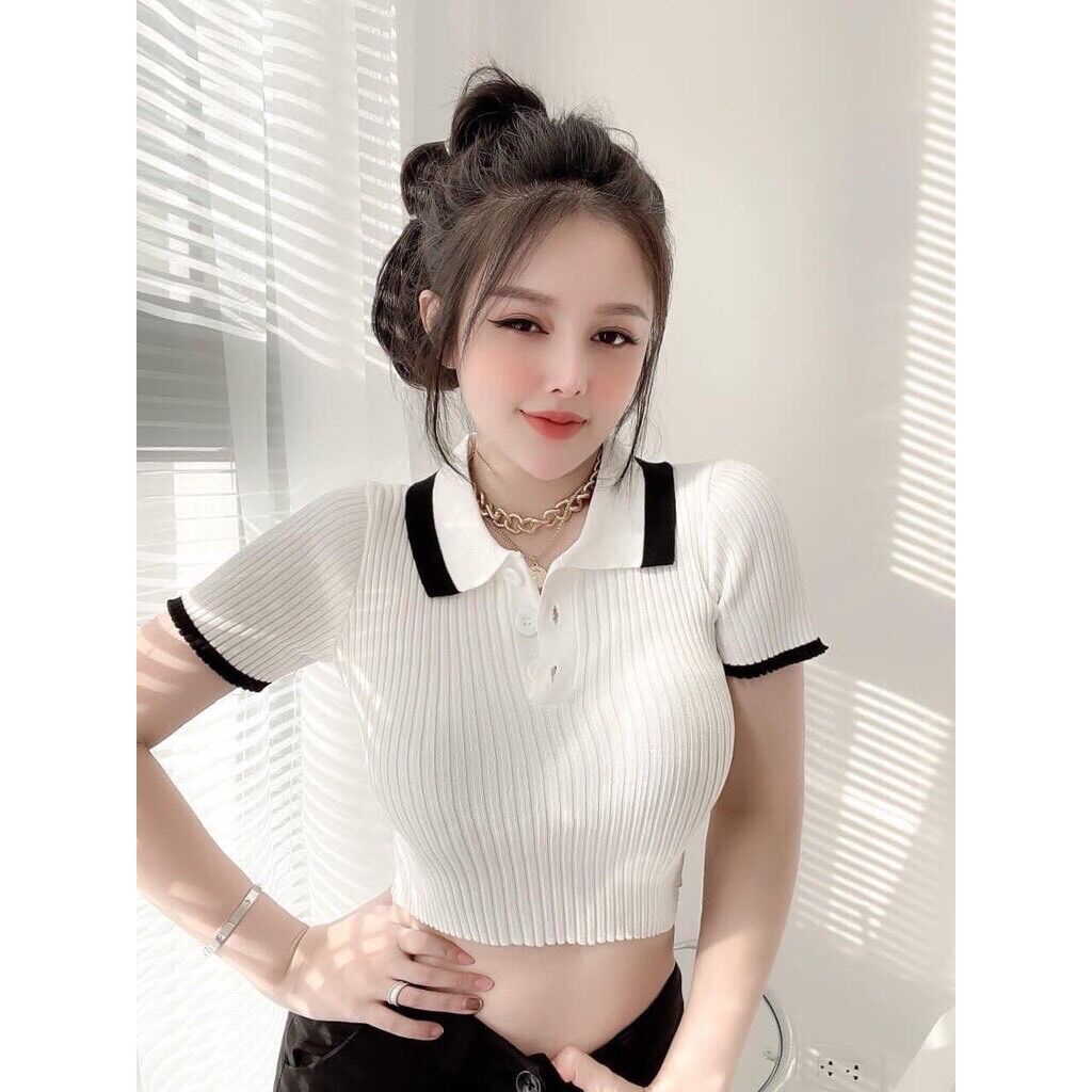 Áo len nữ cộc tay cổ bẻ phối viền dáng croptop hot hit
