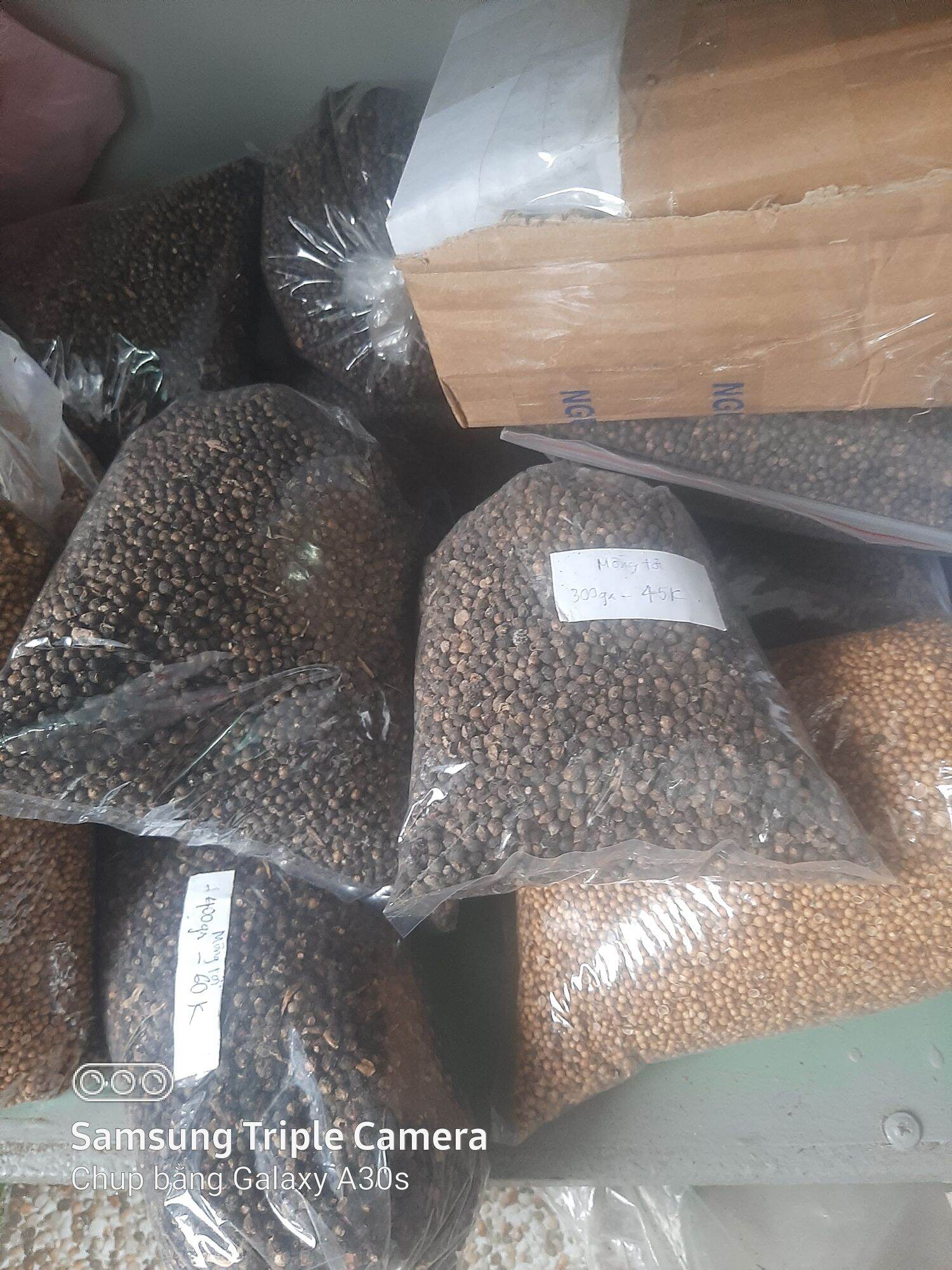 Hạt giống Mồng tơi tỉ lệ đạt cao