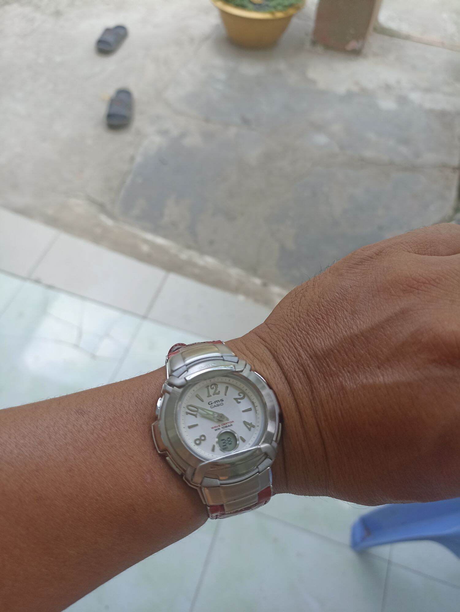 CASIO GMS