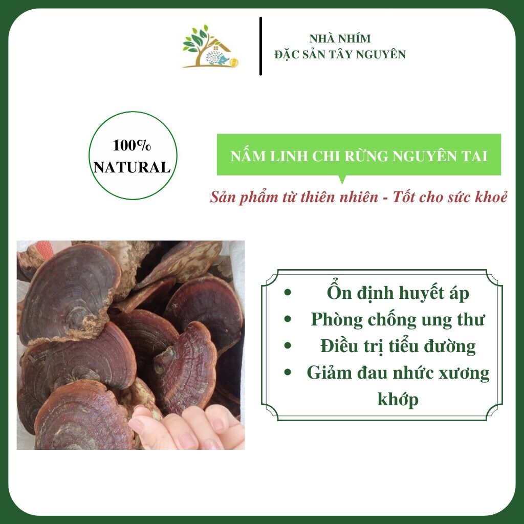 Nấm linh chi đỏ hàng chuẩn rừng tự nhiên 100% túi 500gr và 1KG - 500g