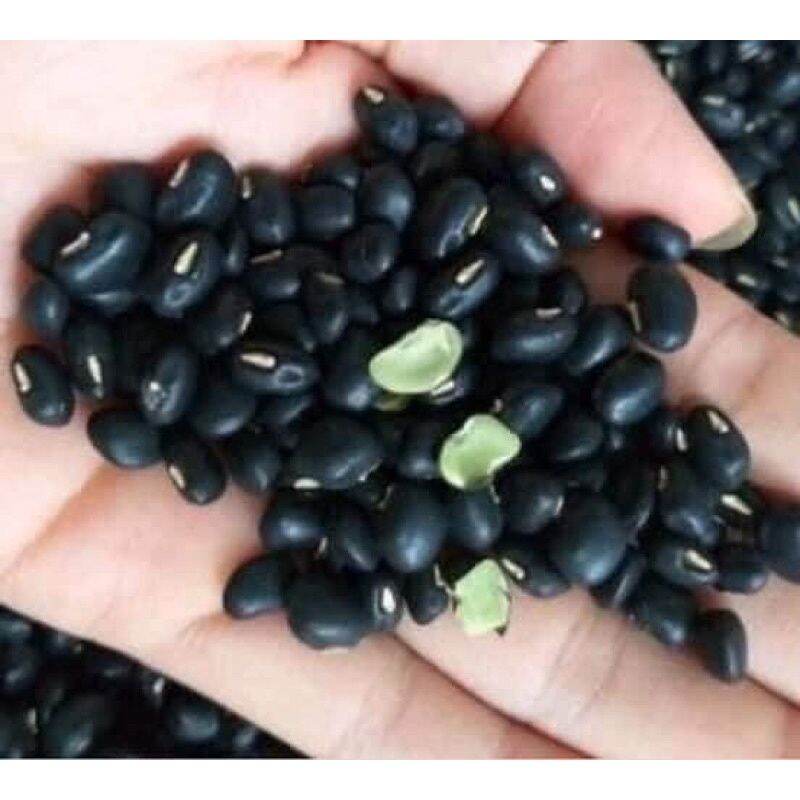 500gr Đậu Đen Xanh Lòng Thuần Chủng Đắc Lắc