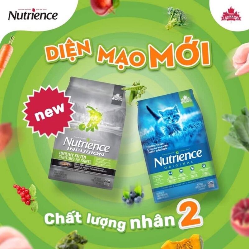 NUTRIENCE INFUSION INDOOR - HẠT THỨC ĂN CAO CẤP CHO MÈO TỪ CANADA