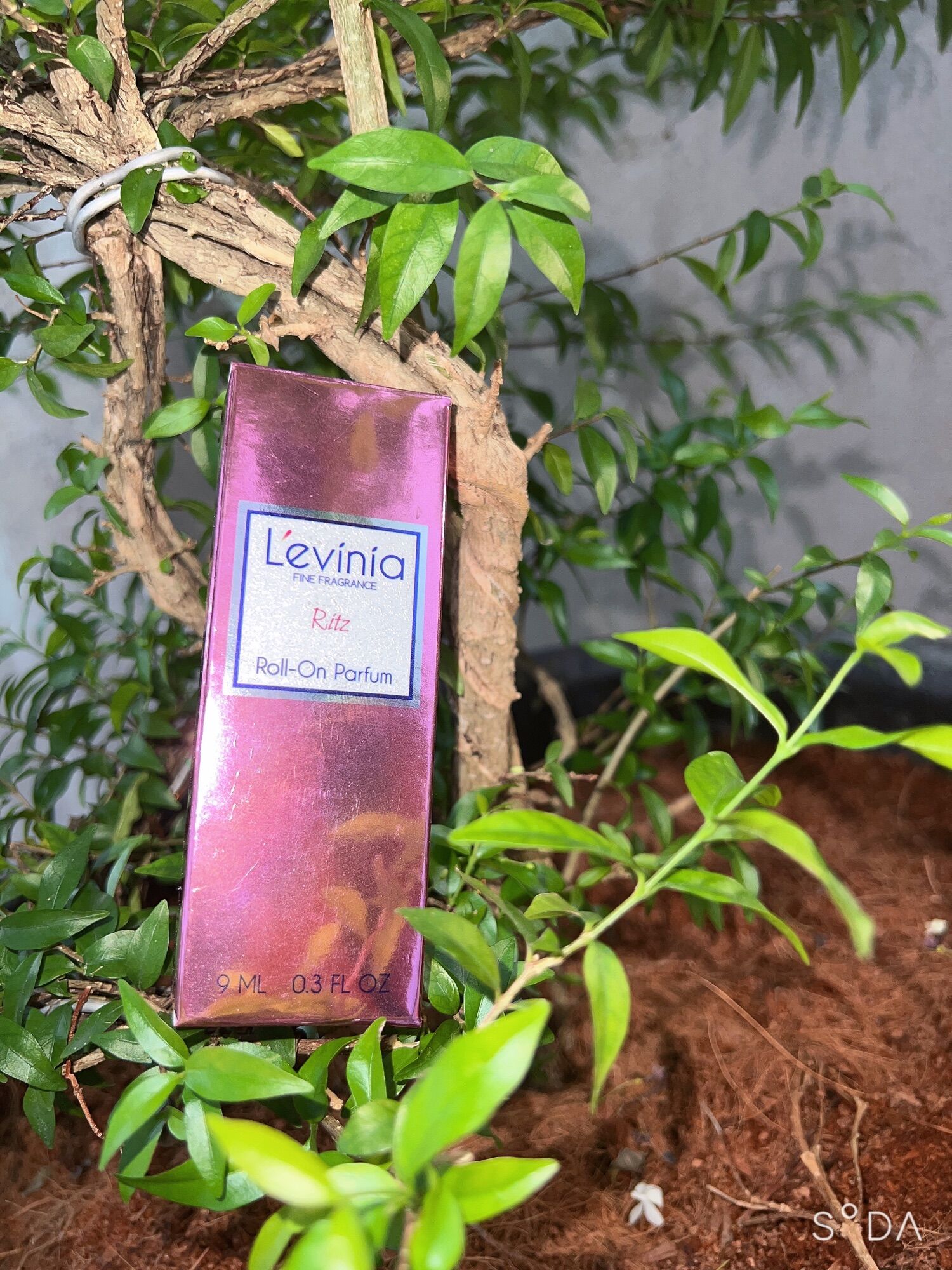 Nước hoa lăn cao cấp L’evinia 9ml
