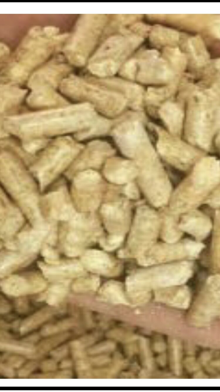 Gỗ nén vàng cho hamster