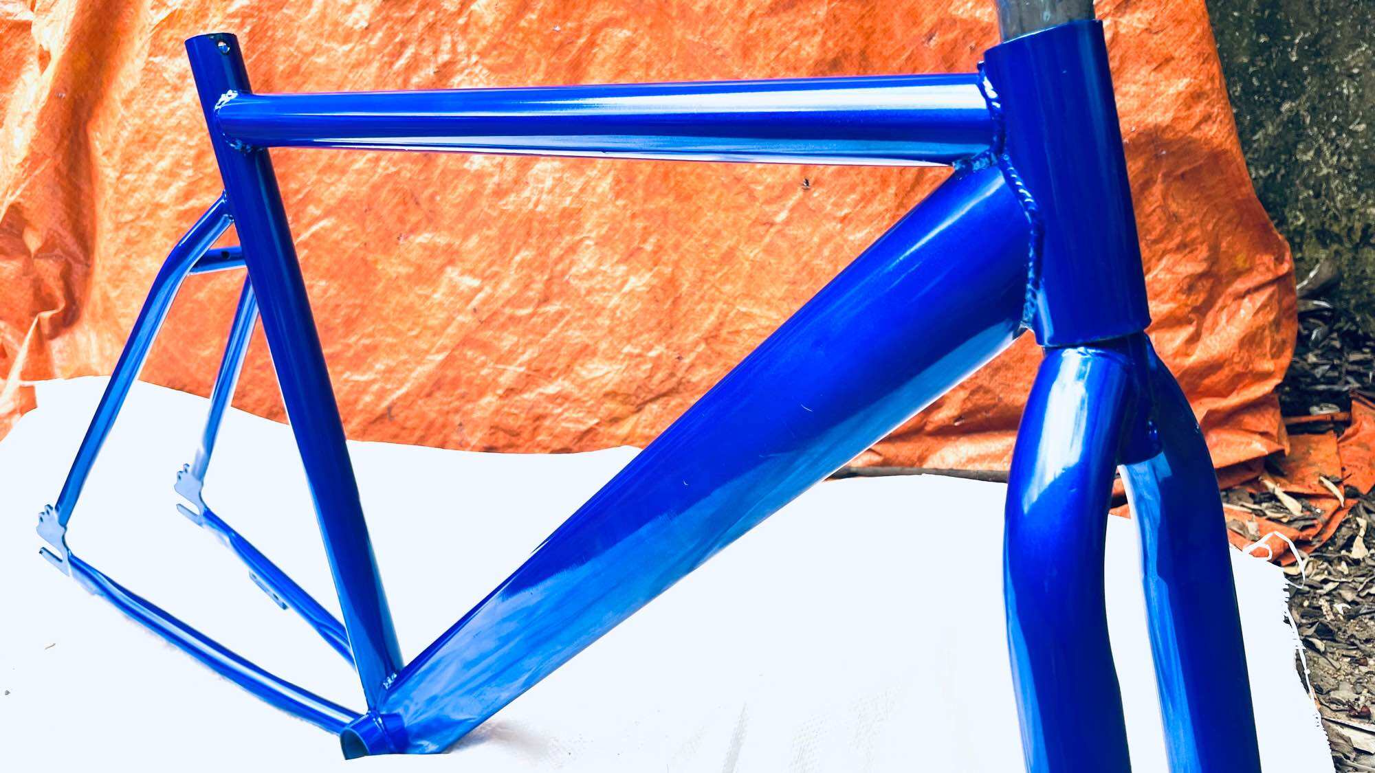 Khung xe đạp Fixed Gear