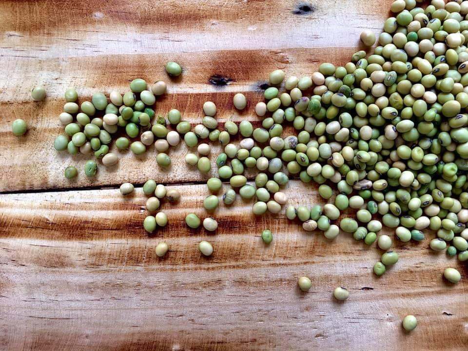 Đậu nành vỏ xanh thuần chủng 500g