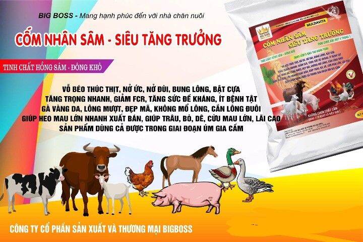 CỐM NHÂN SÂM SIÊU TĂNG TRƯỞNG CHO GÀ VỊT HEO DÊ