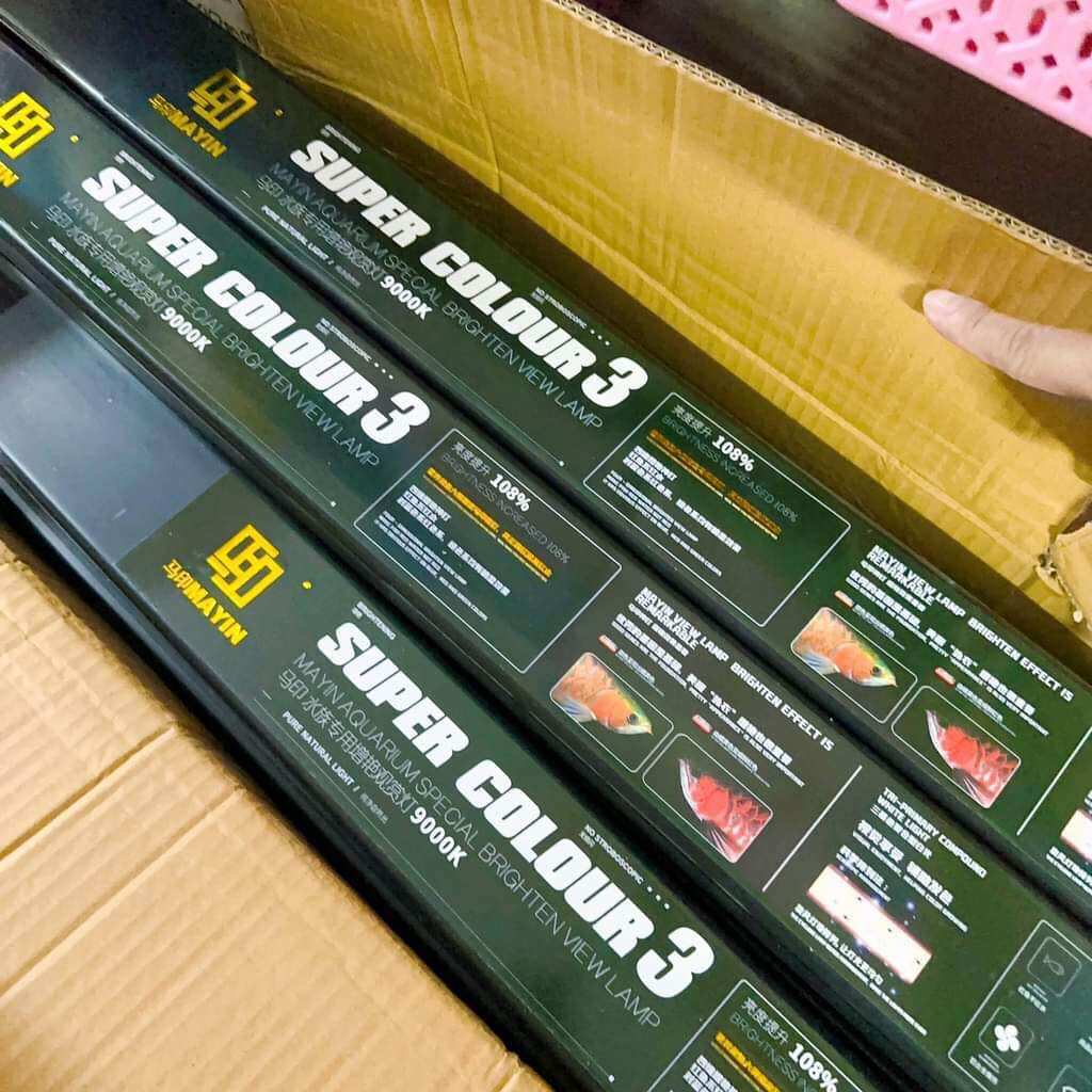 Led mayin thế hệ 3