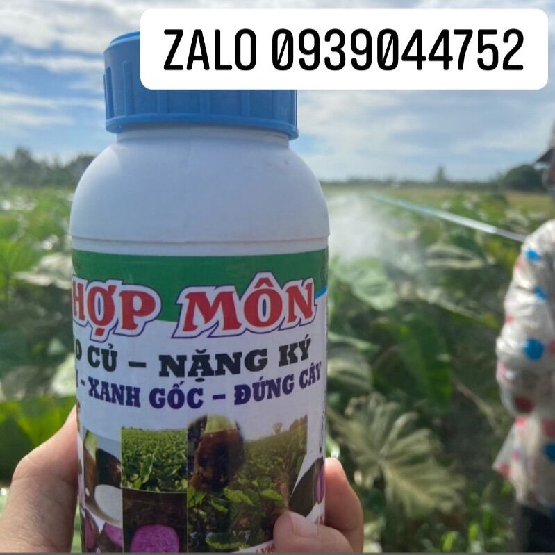 Siêu To Củ Khoai Môn- khoai lang_ khoai mỡ