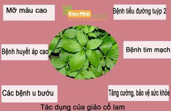 Cao giảo cổ lam nguyên chất 100gram