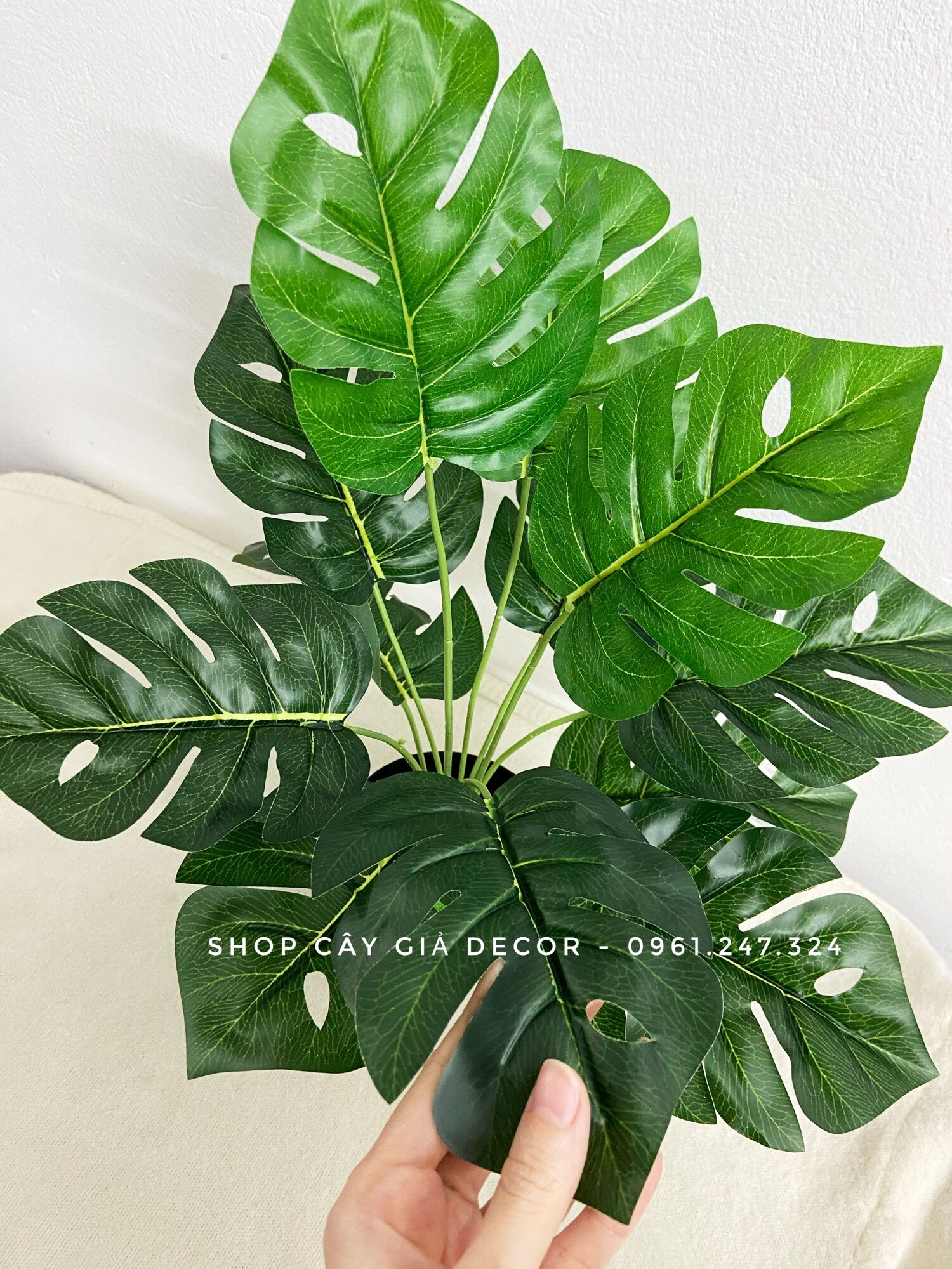 Cây giả- cây lá rùa 30/40cm