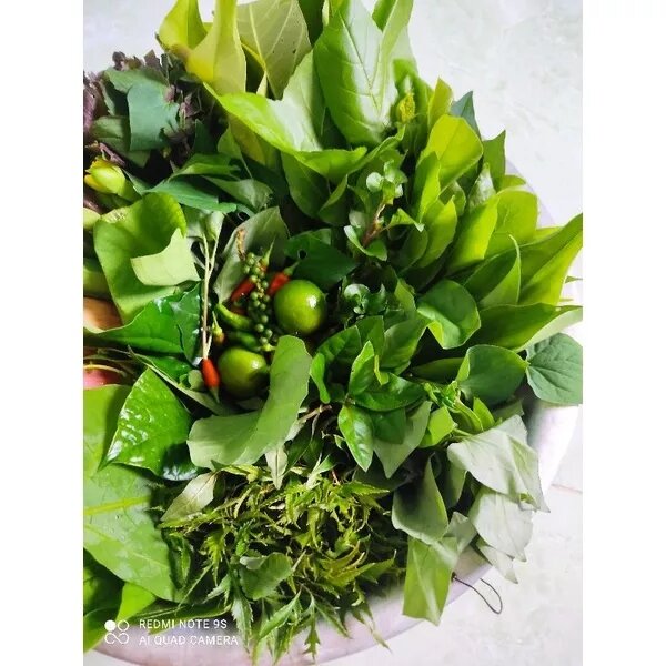 COMBO các loại rau rừng