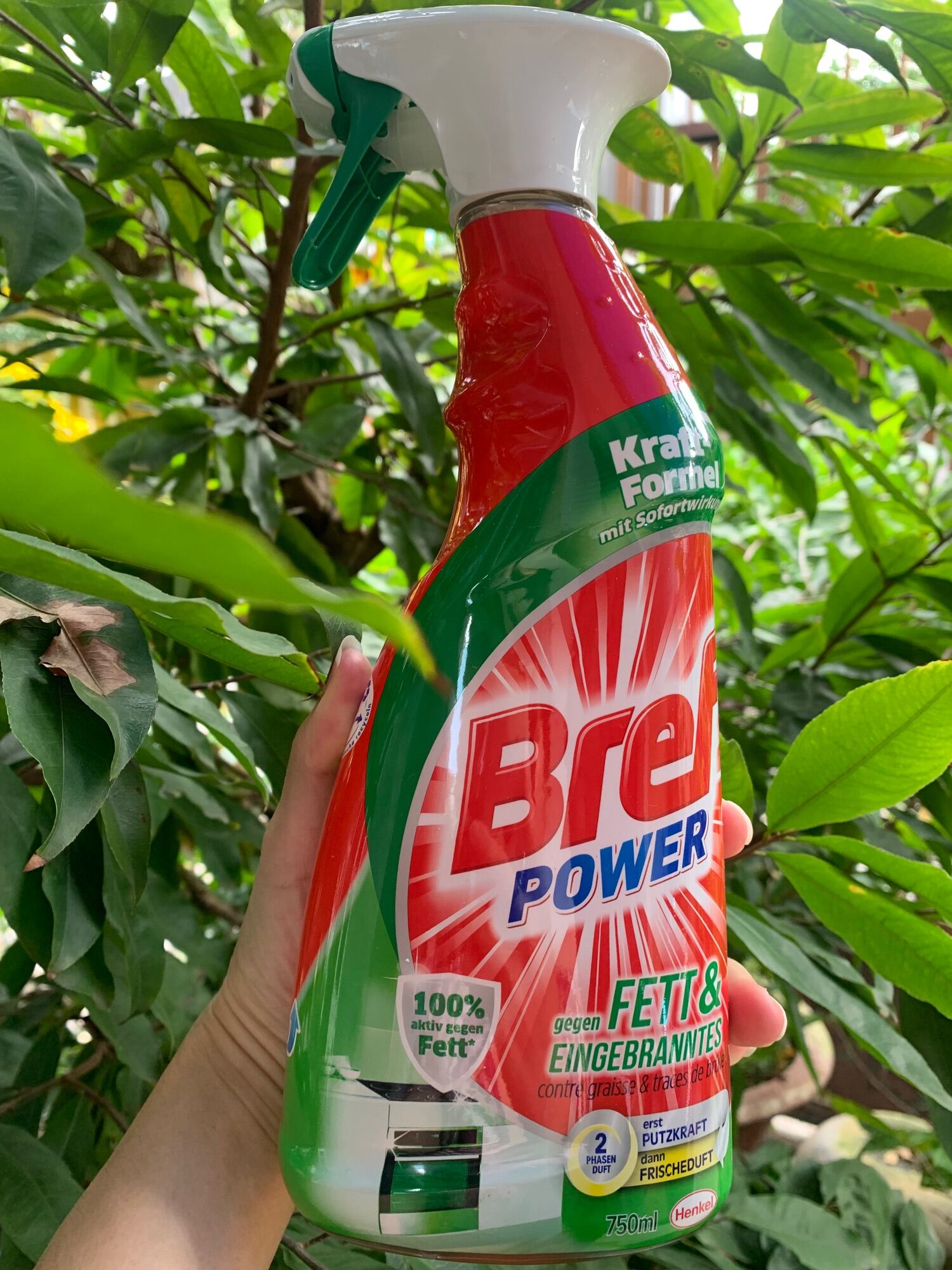 Chai vệ sinh bếp Bref Đức