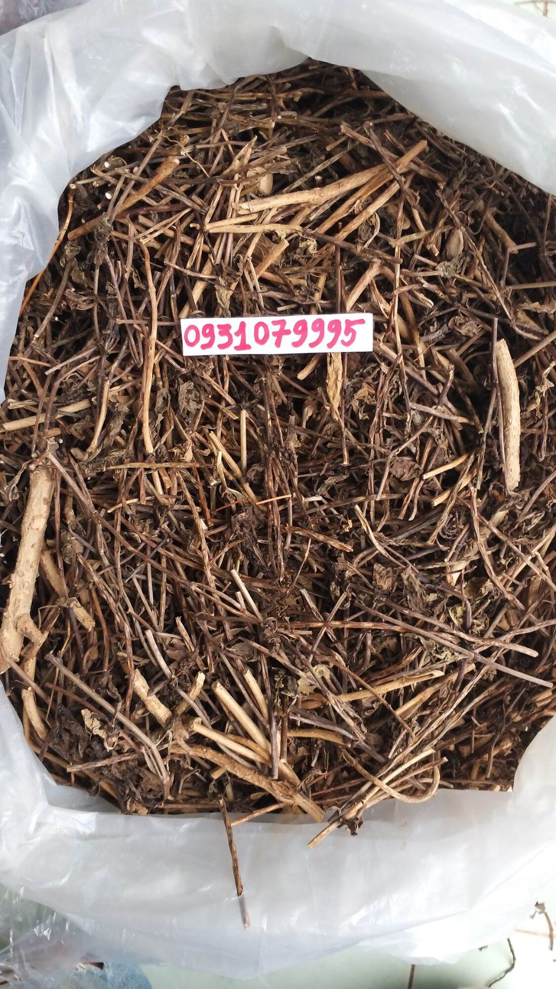 cây đuôi chuột phơi khô 1kg