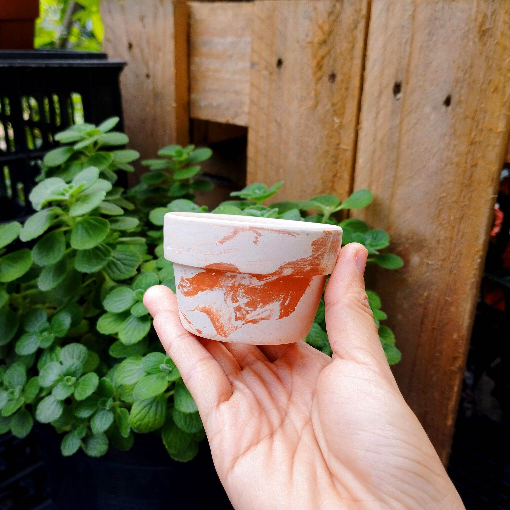 [Mẫu Mới Có Màu Trắng] Chậu Đất Nung Trồng Sen Đá 7x4 Cm