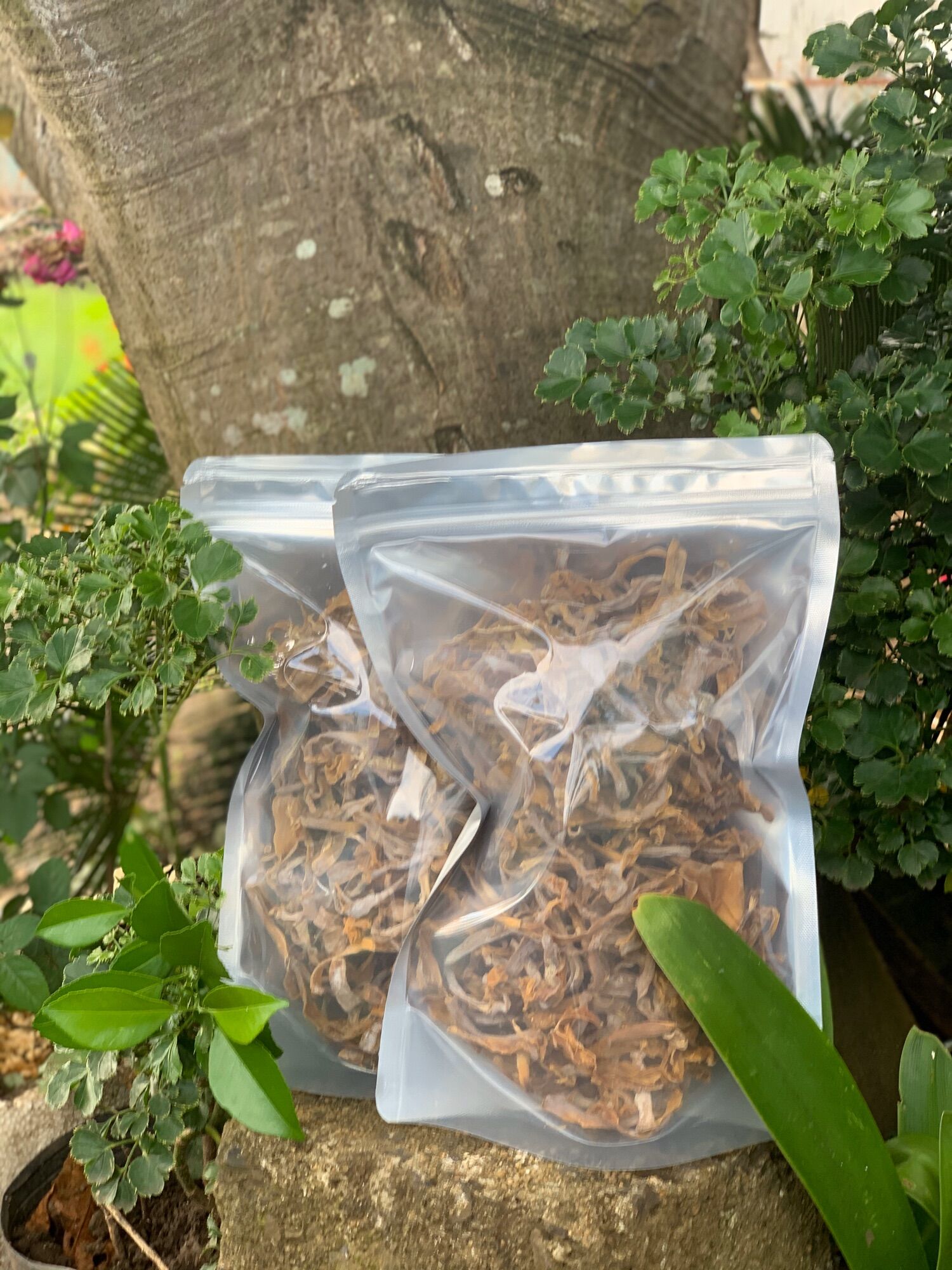 500g_ măng lồ ô_măng nứa_măng le