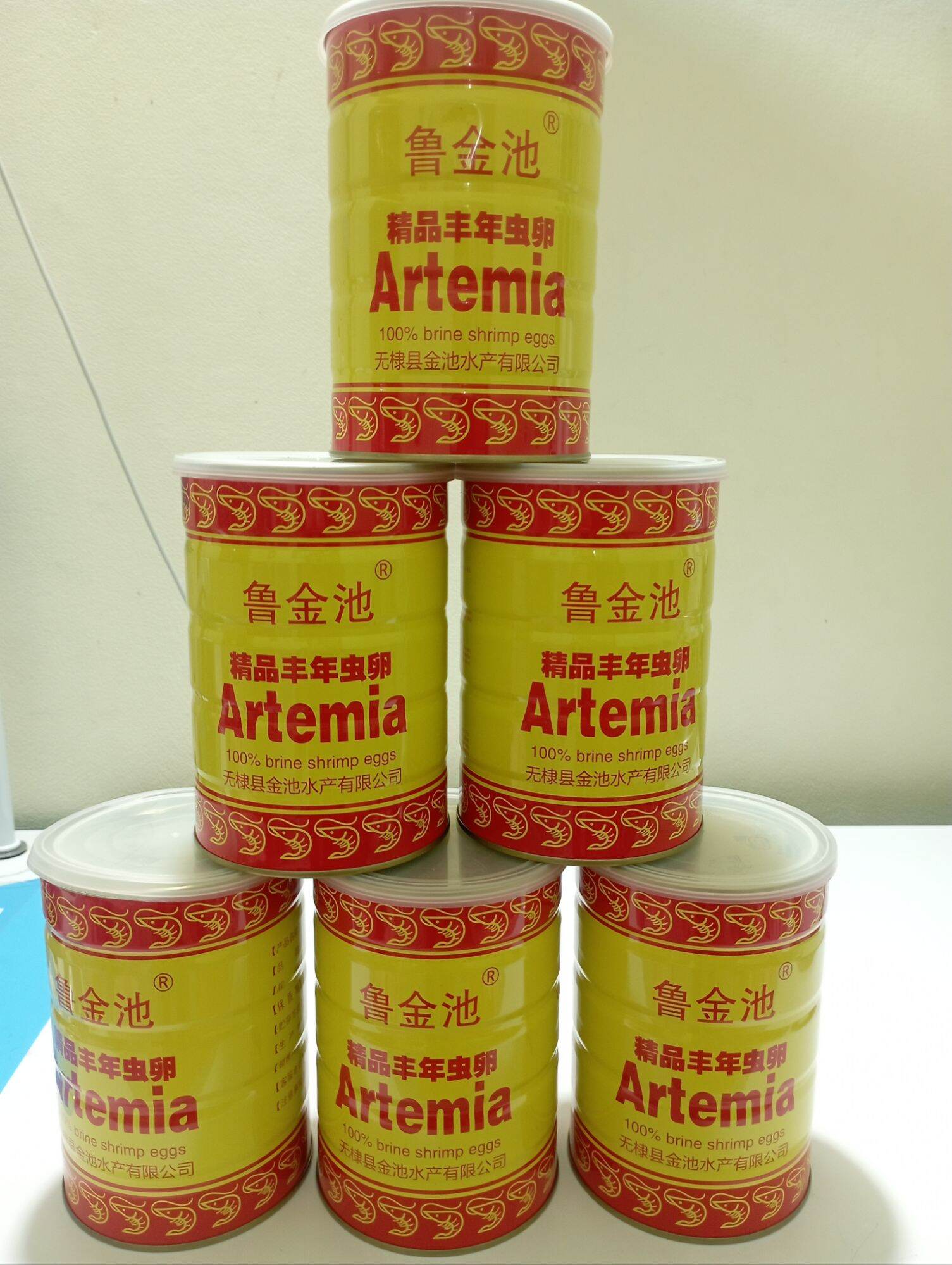 artemia lon vàng